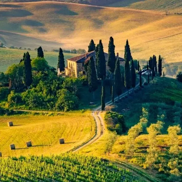 wineries-tuscany-feature-1 (2)