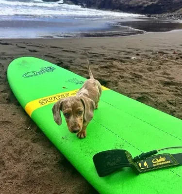 image3-2-e1714911486486-768x798-1